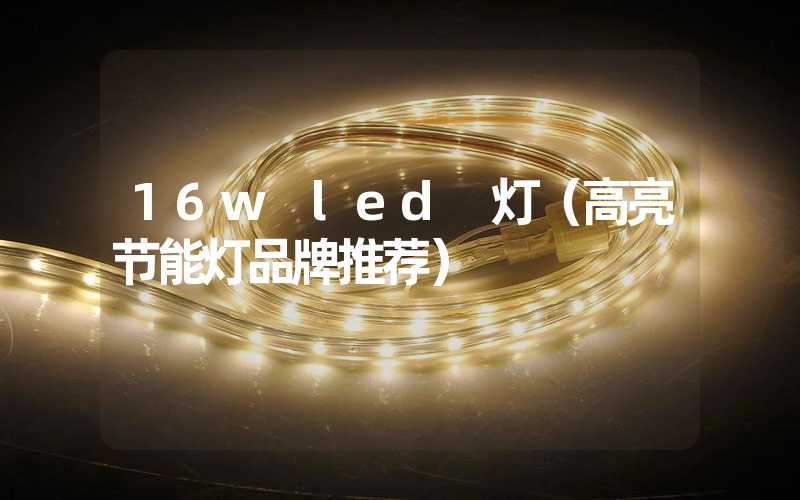 16w led 灯（高亮节能灯品牌推荐）